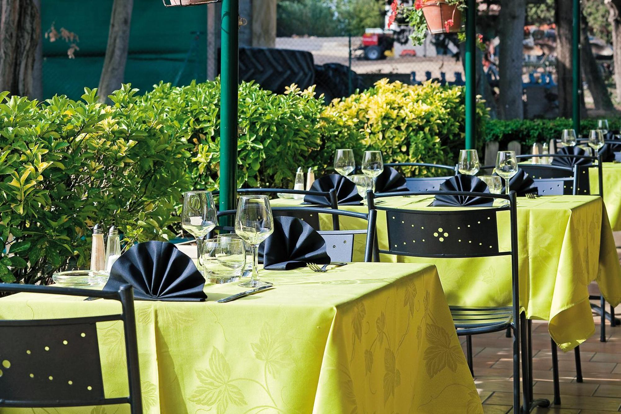 Logis Restaurant Le Flamant Rose Camargue Hotel Albaron